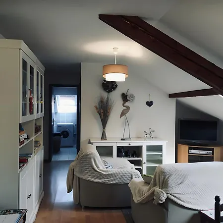 Au Pied Du Nid De Cigogne *