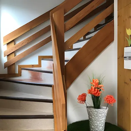 Au Pied Du Nid De Cigogne * Kaysersberg-Vignoble