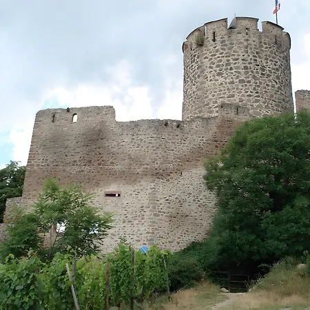 Au Pied Du Nid De Cigogne Kaysersberg-Vignoble