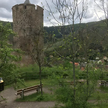 Au Pied Du Nid De Cigogne Kaysersberg-Vignoble