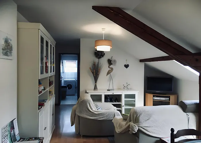 Au Pied Du Nid De Cigogne *