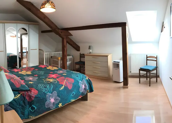 Au Pied Du Nid De Cigogne