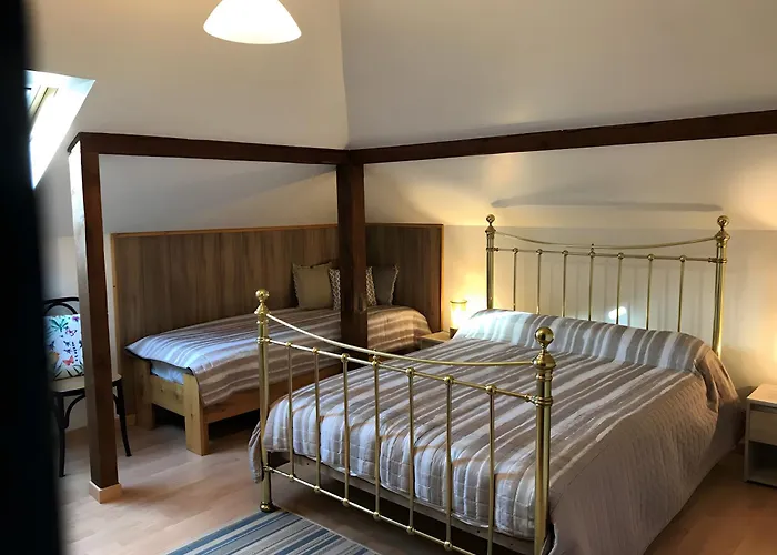 Au Pied Du Nid De Cigogne