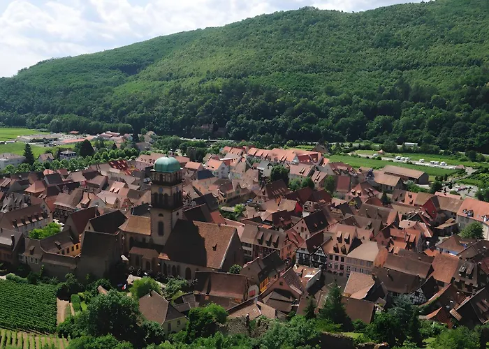 Apartamento Au Pied Du Nid De Cigogne *