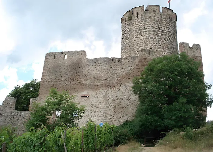 Au Pied Du Nid De Cigogne كايزرسبرغ