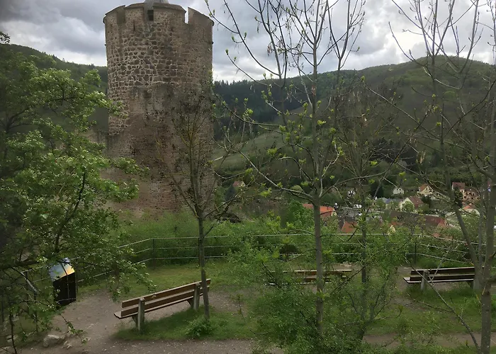 Au Pied Du Nid De Cigogne Kaysersberg-Vignoble