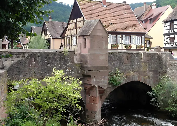 Au Pied Du Nid De Cigogne *