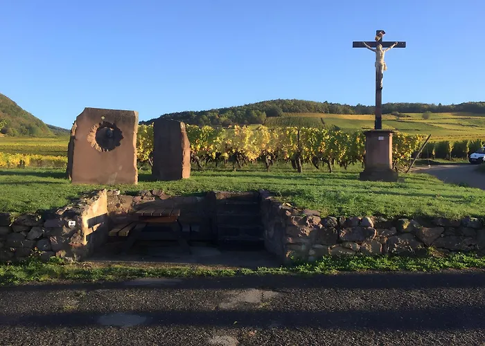 Au Pied Du Nid De Cigogne * Kaysersberg-Vignoble