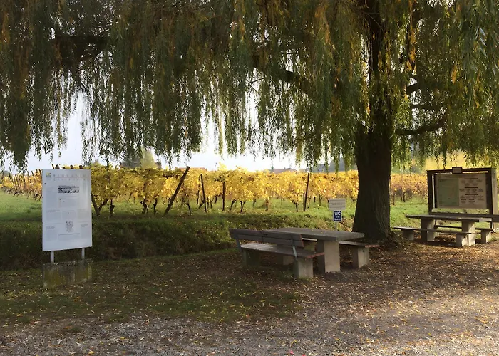 Apartamento Au Pied Du Nid De Cigogne