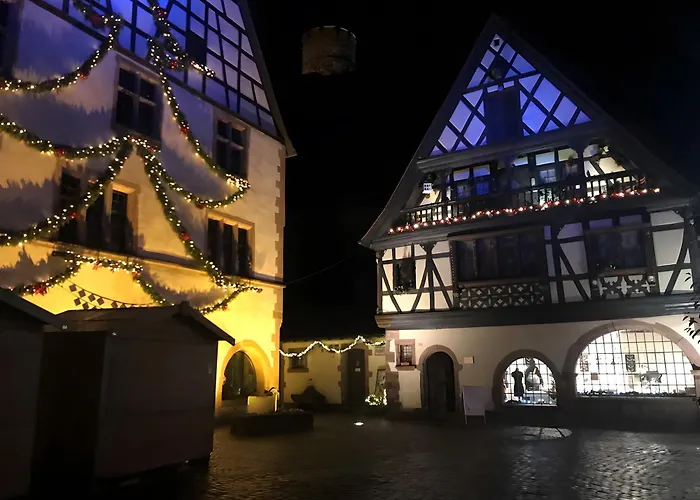 Au Pied Du Nid De Cigogne