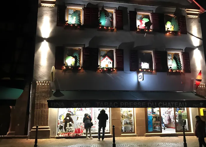 Au Pied Du Nid De Cigogne Apartamento *