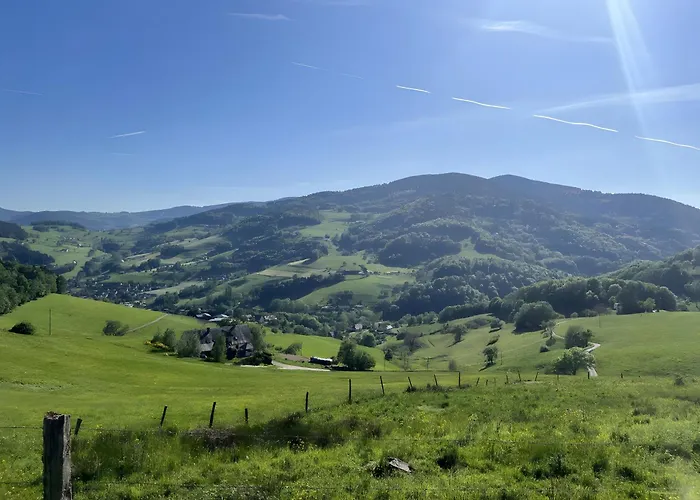 Au Pied Du Nid De Cigogne